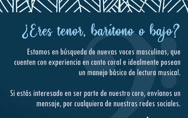 Coro Ars Vocalis llama a audiciones 2020 para voces masculinas