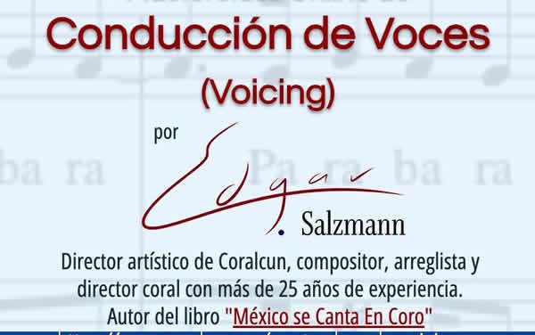 Masterclass Online de Conducción de Voces (Voicing) por Edgar Salzmann